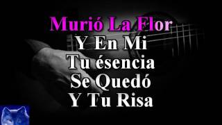 Download Lagu karaoke Murio La Flor Angeles Negros MP3 Download Lagu karaoke Murio La Flor Angeles Negros MP3