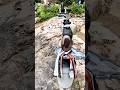 100 plus shivlings in 🇨🇦#shiv #shiva #bholenath#hindugod #Hindutemple#shivshankar #shivshakti