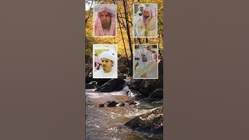 تكملت سورة الغاشية #عبدالرحمن_مسعد #سورة_الغاشية #القران #ياسرالدوسري #القرآن_الكريم