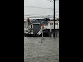 Swimming ducks spotted on flooded New Jersey streets
