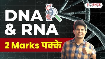DNA & RNA 🧬 | Difference Between DNA and RNA by Neeraj Sir | 2 Marks पक्के #dna #rna #biology