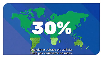 Proč bychom měli být vůči prostředí šetrní?
