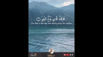 سورة الماعون SURAH AL-MAUN #المصحف_الكامل_للقارئ_عبد_الولي_الاركاني #FULL_QURAN_ABDULWALI_ALARKANI