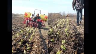Bluebird Gardens 2015 Spring CSA Promo Video