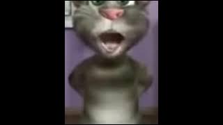el gato tom mamaguevo