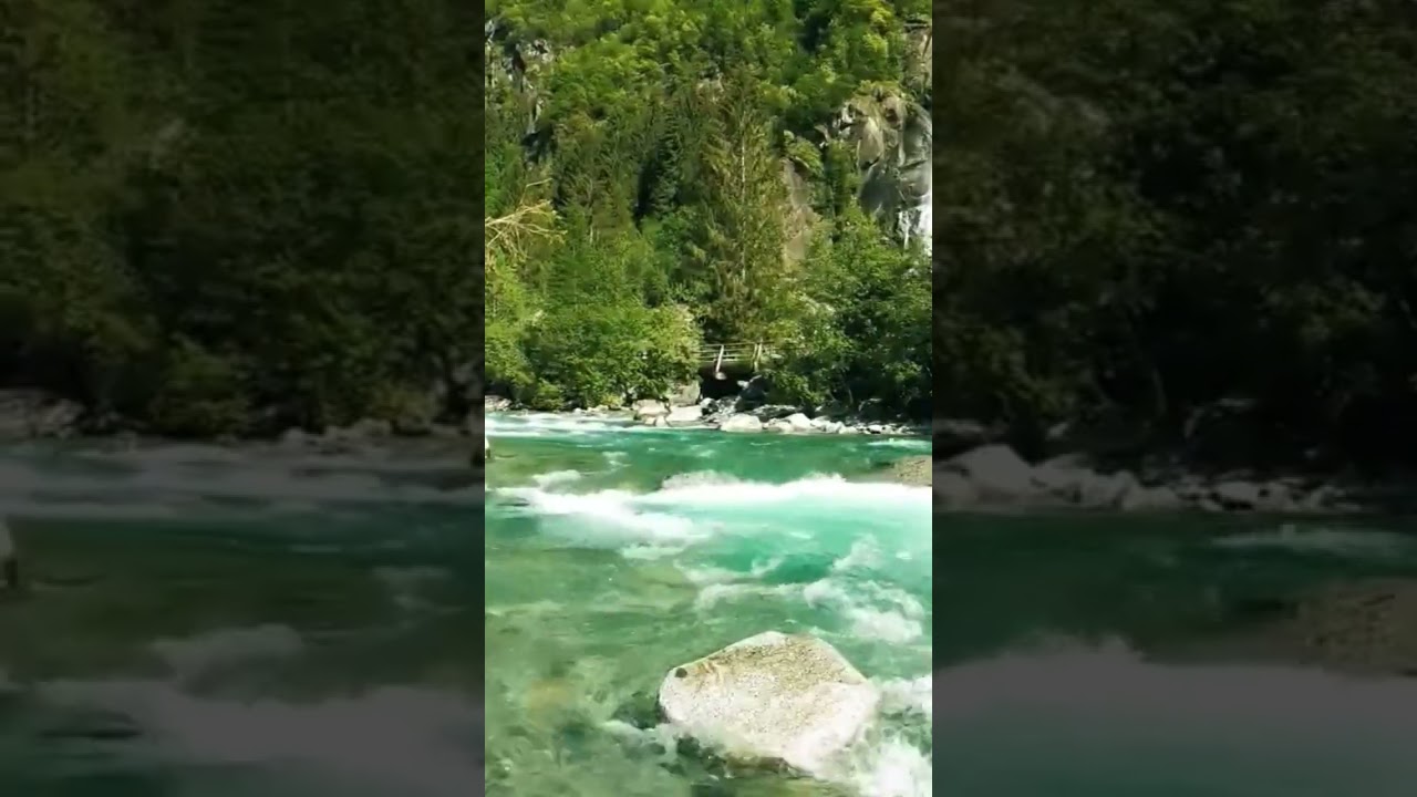 Instant Calm ✨ Relaxing Nature Views for Mind & Body