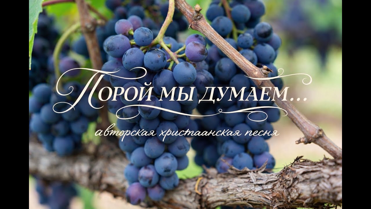 "ПОРОЙ МЫ ДУМАЕМ..."  авторская христианская песня 2026