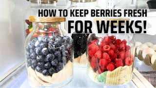 How to keep berries FRESH for weeks!