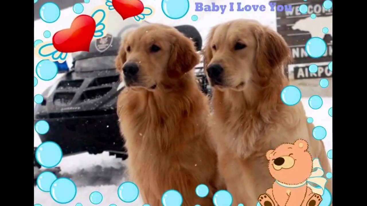 SnowBuddies YouTube
