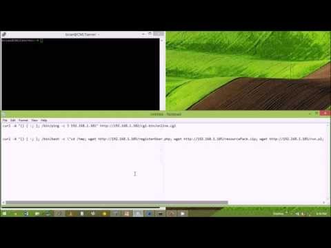ShellShock Exploit Tutorial