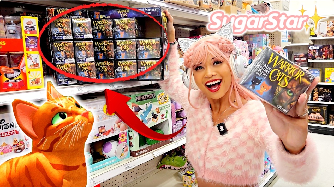 Компания SugarStar нашла котов-воинов! (Распаковка)