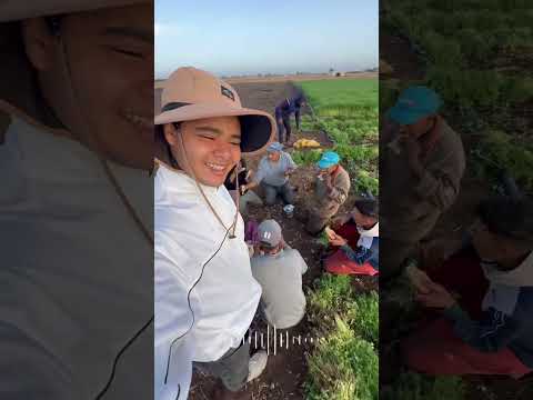 مشيت مع خالي للبادية باش يجني الربيع  بيع ربيع الأنوار سوق بادية