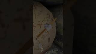 Granny Simar escape