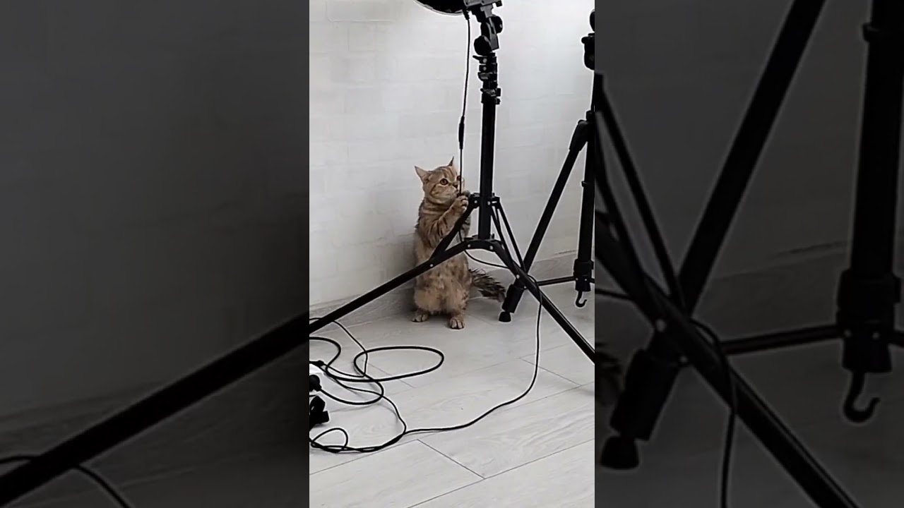 маленький блогер🥰 