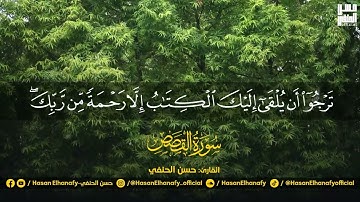 حسن الحنفي |تلك الدار الآخرة | سورة القصص