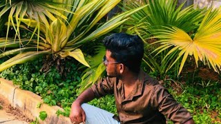 ᴠɪʟʟᴀɢᴇ ᴋɪɴɢ ʜᴀʀɪ 🥰  is live!