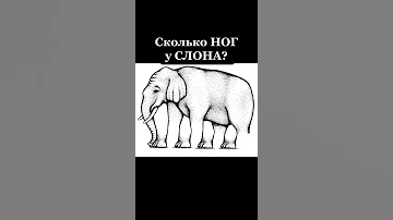 Обман зрения Сколько ног у слона | Психологический тест | Оптическая иллюзия #Shorts