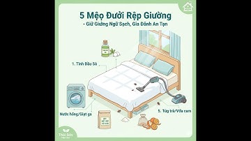 5 Mẹo Đuổi Rệp Giường – Giữ Giường Ngủ Sạch, Gia Đình An Toàn | Thái Sơn Mẹo Vặt Đời Sống