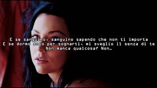 Evanescence - Missing (Traduzione)