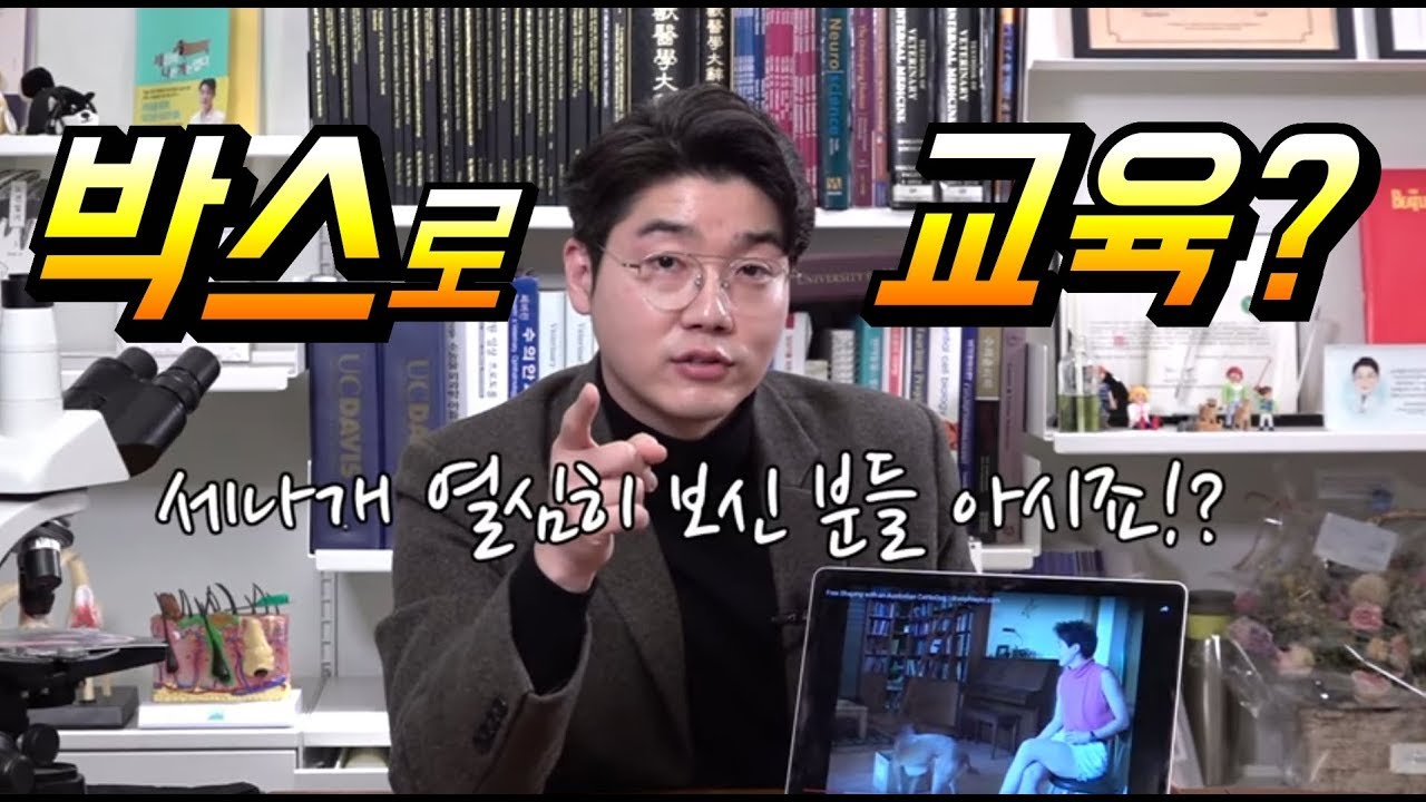 똑똑해지는 강아지놀이, 집에서 쉽게 할 수 있어요. with 미국 유명행동학수의사 전수