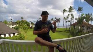 Video thumbnail of "Aloha from Hawaii Part 2 (Kauai) by Ukulele Sunnyboy"