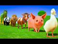 Long Slide Game with Colourful Duck Cow Tiger Gorilla Dog Elephant 3d Animal Game Funny 3d Animals