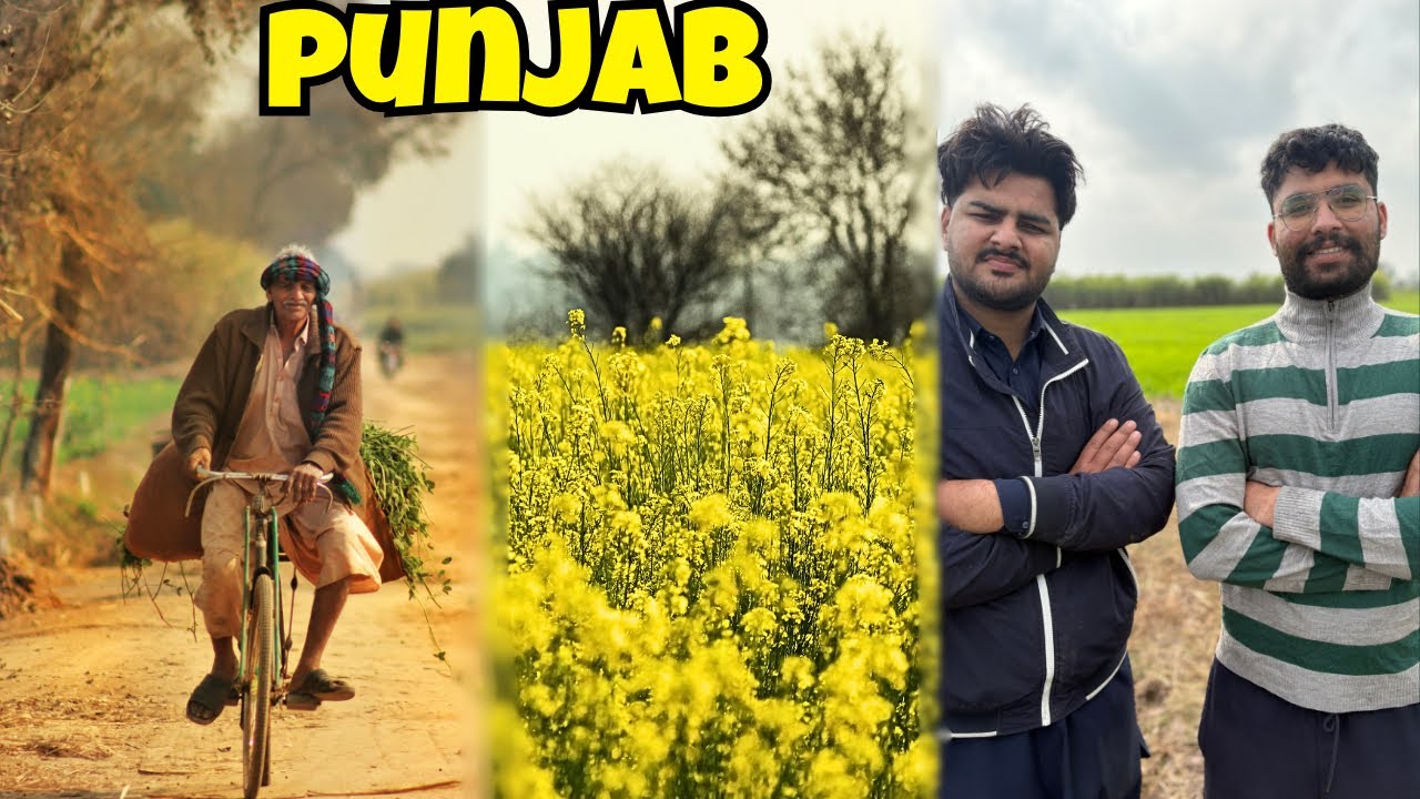 pindan diyan ronakaan our desi punjabi life culture