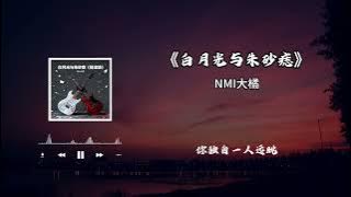 白月光與硃砂痣搖滾版. nmi大橘