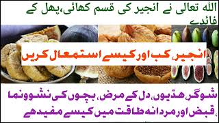 Fig Use In Men Power Ll Angeer For Disease