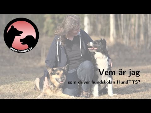 Video: Kan borzois vara bra med katter?