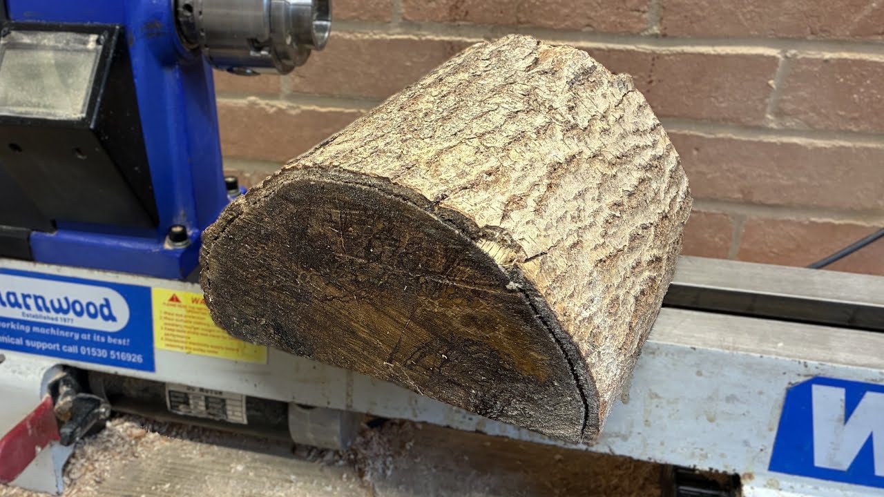 Saved from firewood - Spalted Oak Log - Wood turning