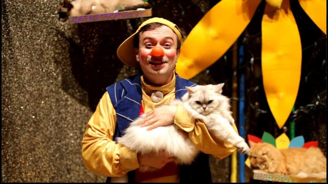 Театр куклачева видео. Театр кошек Куклачева. Куклачев и его кошки.