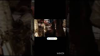 ll mannat today's new promo ll #televisionentertainment #shortsfeed #shortvideo #viral #mannat