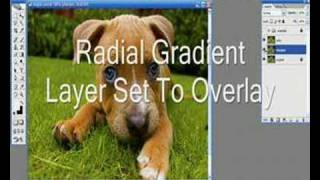 Add Focus To Your Photo And Grab Attenion in Photoshop screenshot 5