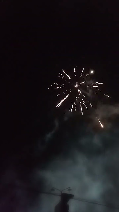 Pesta Kembang Api Tahun baru 2024 termegah dan populer di dunia Viral