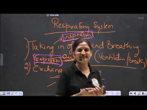 69  040 Respiratory System 01 Anatomy and Physiology