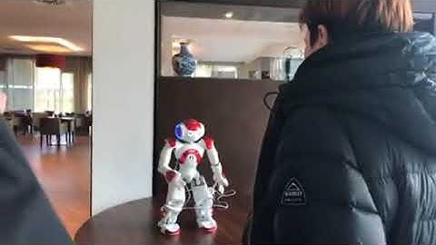 hotelrobot zora