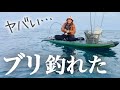 いきなりやけどSUPでブリ釣ったから見てww