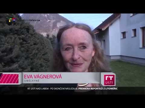 Video: Vědecká knihovna SUSU Čeljabinsk