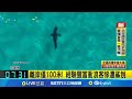 雪梨衝浪客遭巨鯊襲擊