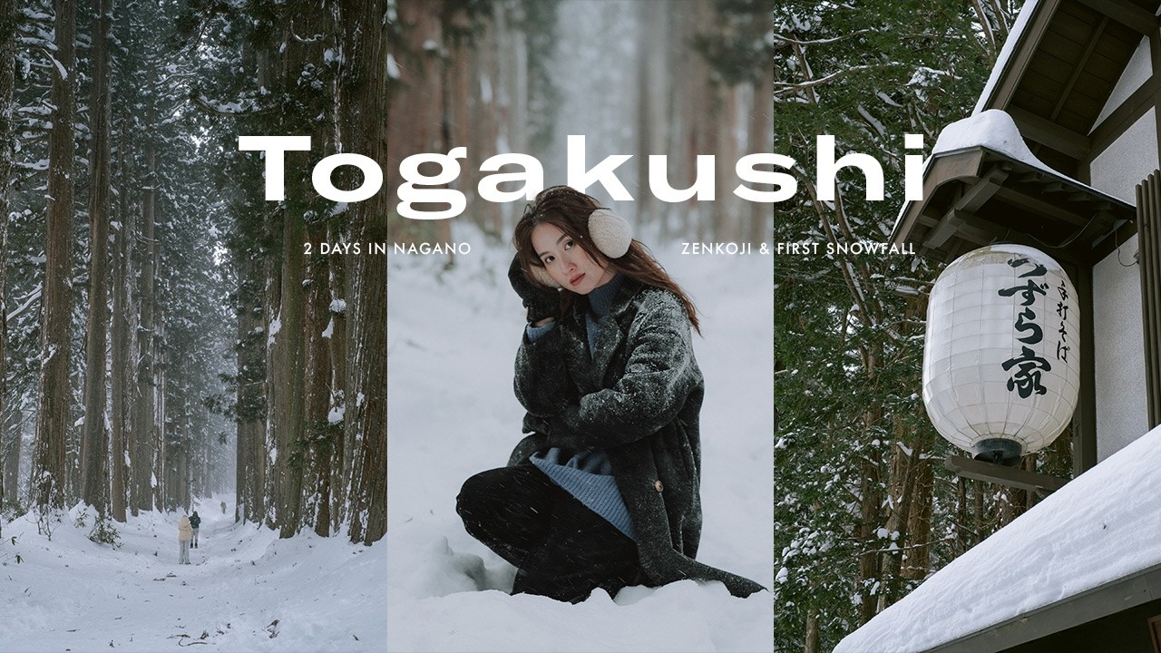 Japan Diary | NAGANO & TOGAKUSHI, snow storm, Zenkoji + ❄️ 🍜