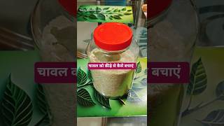 अब चावल रहेंगे बिल्कुल साफ और बिना कीड़े के |  Rice storage tips #shorts #shortsfeed #reels #storage