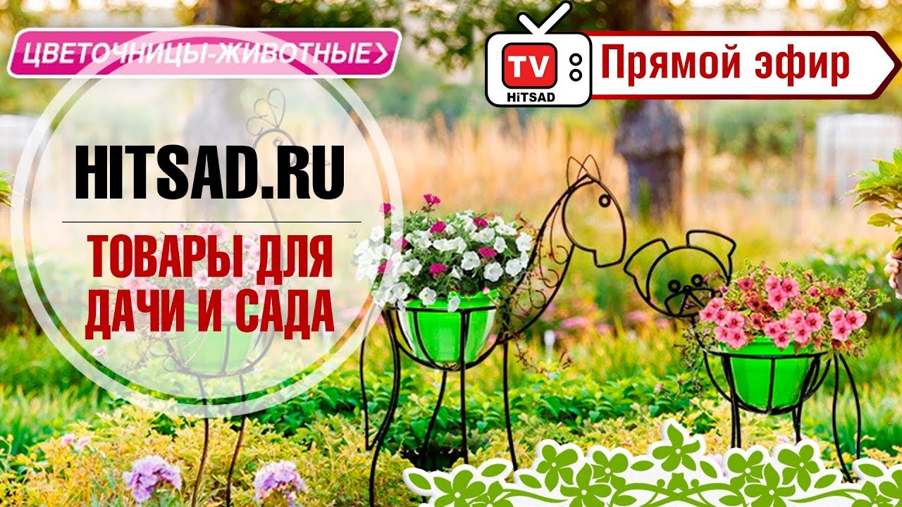 Интернет Магазин Товаров Для Дачи В Новосибирске
