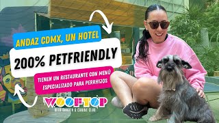 🐶Andaz MxCity Condesa🏨Hotel totalmente petfriendly🐕en el Wooftop preparan hamburguesas para perros 🍔 by Perrhijos 359 views 1 month ago 19 minutes