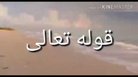 سورة الماعون اية جمال القرش(2)