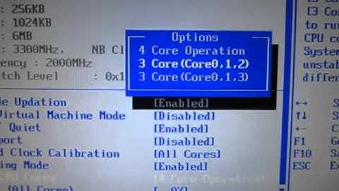 AMD Phenom II X2 560 BE - 4 Core Unlocked
