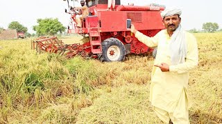 season start moonji  pakk gie laverda harwester ki performance in punjab pakistan