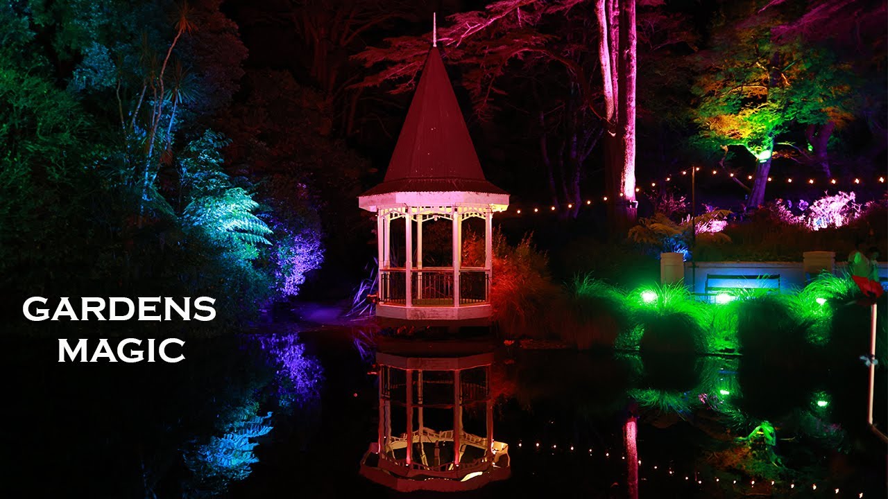 Botanical Gardens Magic | Wellington | New Zealand