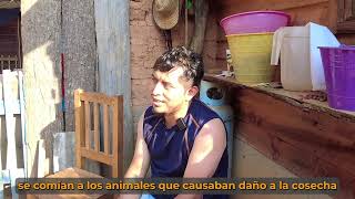 2.- RELATI- Animales en peligro de extinción (Santa María Yaviche) (Versión final).