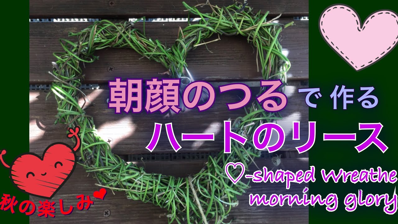 朝顔の蔓で作るリース ハート型 朝顔リース ハートのリース 簡単 Diy Tutorial Morning Glory Wreath 279 Youtube